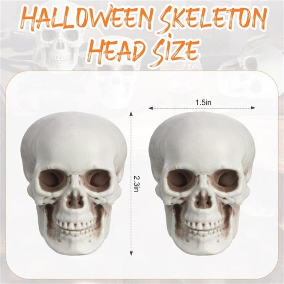 10 Pieces Halloween Skeleton Head Small Mini Skulls for Halloween Party - Picture 5 of 6